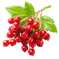 Fresh Red Berries with Vibrant Green Leaves on a White Background