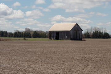 A deteriorated farm building on a corn field.