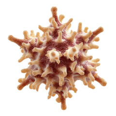 Unique Coral Structure with Spiky Texture and Intricate Patterns