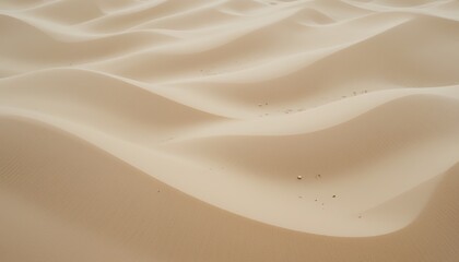 Fototapeta premium Expansive natural sand dunes exhibiting smooth curves and waves under soft light