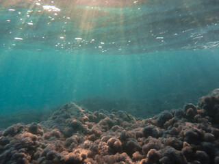 The sun shines through water, casting mottled light and shadow, intertwined with countless bubbles underwater, like a dance of light. Various aquatic, fish swimming in water in Mediterranean sea.