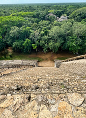 View from top of the Acropolis - Tropical Yucatan jungles stretching out in all directions with a...