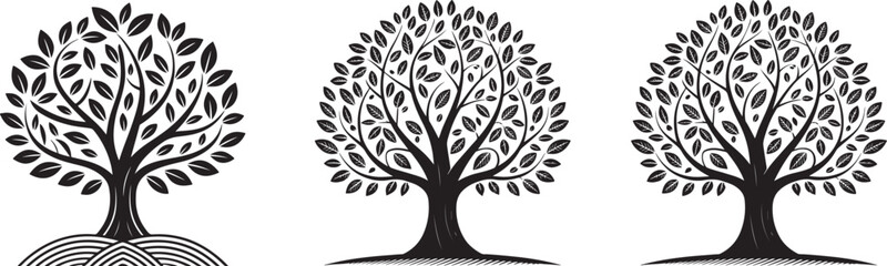 Obraz premium Stylized trees with detailed leaves and roots black and white