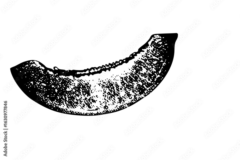 Poster vector detailed of a cantaloupe slice with textured rind.