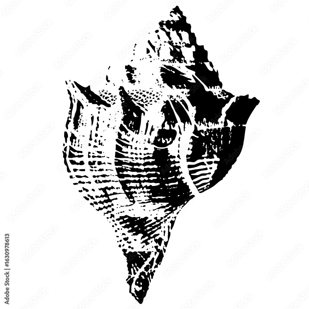 Poster vector detailed of a textured seashell with intricate ridges.