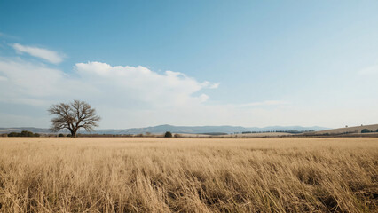 A vast field of tall grass sways gently in the breeze, under a blue sky with scattered clouds.