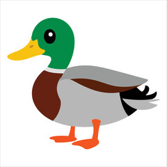 Funny duck bird in cartoon flat style isolated on white. Vector illustration of cute poultry ideal for farm animal and child friendly designs