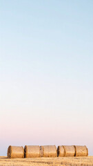 Hay Bales in a Minimalist Landscape