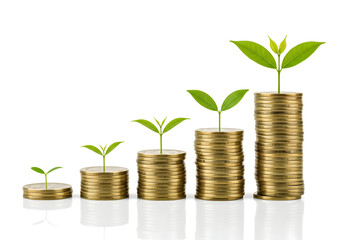 Smart Investment Growth Grow Wealth with Strategic Financial Planning