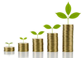 Financial Growth and Investment Strategy for Sustainable Wealth