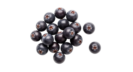 fresh aronia berries antioxidant powerhouse for healthy recipes