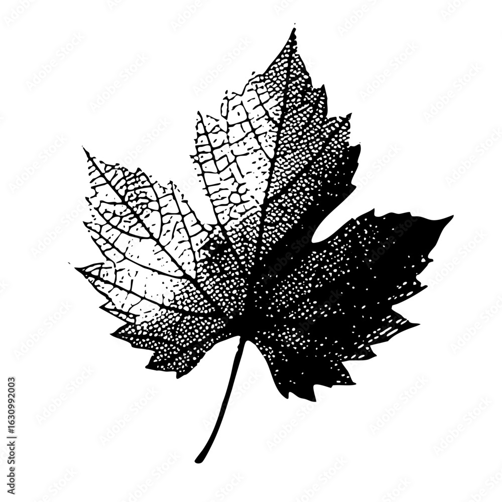 Poster vector detailed of a maple leaf with gradient shading.