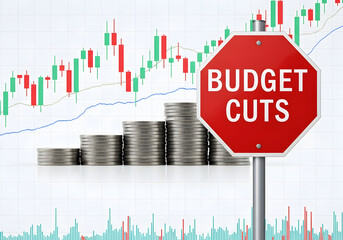 Understanding Budget Cuts Impact and Strategies for Organizations