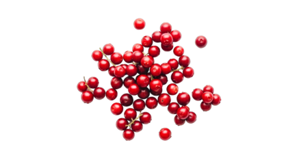 fresh lingonberries vibrant red berries for food drink designs