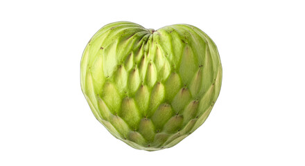 Fototapeta premium heartshaped artichoke unique produce for valentines or health blogs