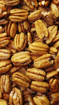Pecan nuts background. Closeup pekan seeds. Rotate. Vertical footage