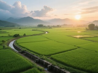 Fototapeta premium Sunrise Over Verdant Rice Fields with Winding Water Channels