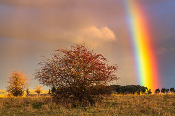 Rainbow over the rural countryside