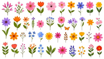 Colorful flower illustrations