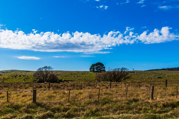 Countryside in Winter around Braidwood