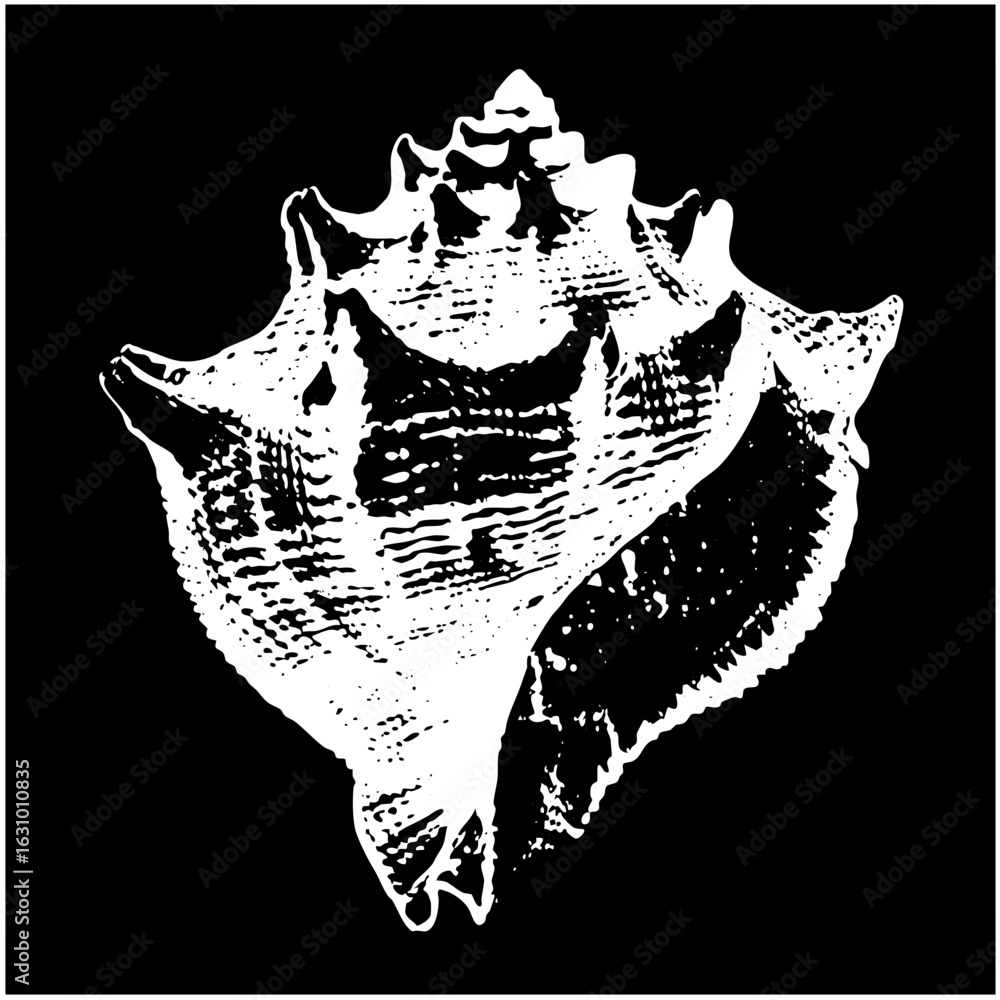 Poster vector detailed of a white seashell with textured surface.