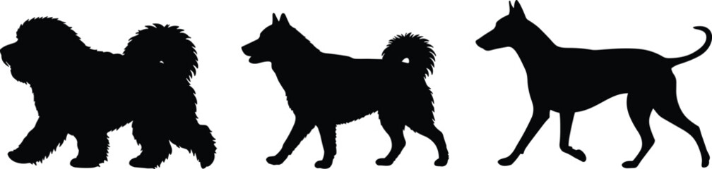 Silhouette of three dogs walking, various dog breeds, black dog figures, canine pets, animal walking side view, isolated white background