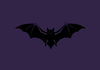 Fototapeta premium Black bat silhouette with glowing eyes flying in a starry night sky. Spooky Halloween vector illustration concept.