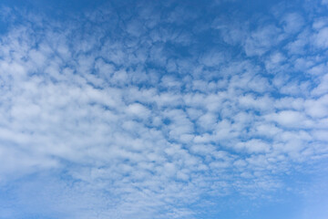 Sky Filled with Textured Cloud Formations
