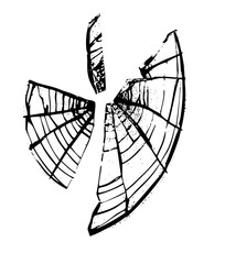 Vector Fragmented circular diagram with radial lines .