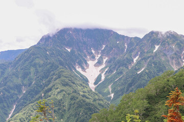 Naklejka premium 白馬・小遠見山の風景。鹿島槍ヶ岳 カクネ里雪渓。
