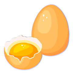 broken egg on white background