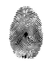 Vector Detailed fingerprint with swirling ridges