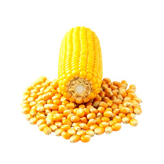 Yellow corn cob with kernels on black background isolated on a transparent background maize
