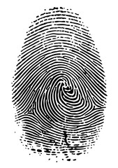 Vector Detailed fingerprint with swirling ridges