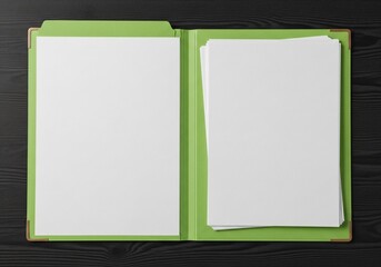Professional green file folder with blank papers