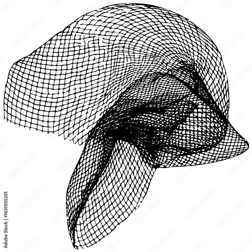 Poster vector intricate wireframe portrait depicts a face in profile with a flowing veil.