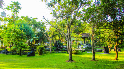 Vibrant tropical garden with a variety of trees, plants, and green grass under bright sunlight. Peaceful and natural outdoor setting, perfect for relaxation.

