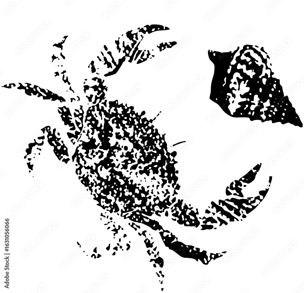Poster vector hermit crab and features a textured monochrome .