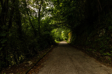 Obraz premium Pedestrian and bicycle path in the middle of a mountain forest.