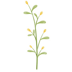 Watercolor cute yellow flower illustration.