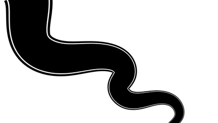 Fototapeta premium Abstract curvy road on a white background inviting you to travel Road to horizon in perspective. Winding asphalt empty line isolated on transparent back. isolated on transparent back