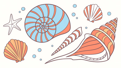 Marine decorative elements hand-drawn in pastel colors, including seaweed, coral, and various shells.