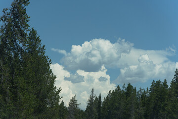 Grand Teton National Park in July 2025, All the Mountains, Lake, Animals, and Waterfalls