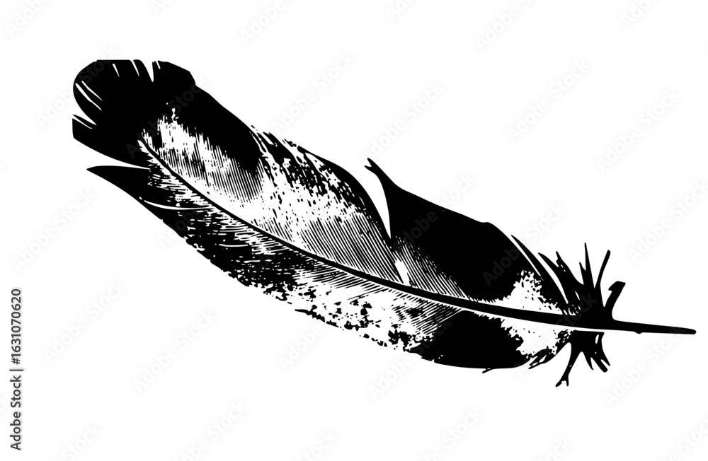 Poster vector detailed of a single bird feather with textured shading.