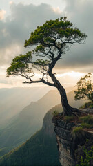 A solitary tree clinging to a rocky cliff edge with a dramatic mountain landscape at sunset