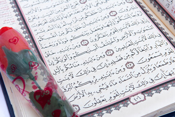 A sheet of the Quran, Surah r Rum ayat 21, with a single rose inside a plastic 