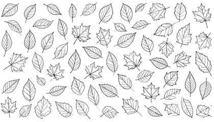 Black and white leaf pattern