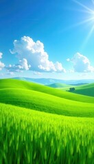 Obraz premium Rolling hills of vibrant green wheat bathed in spring sunshine, azure sky above , season, golden, beautiful