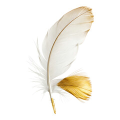 Fototapeta premium Creamy white bird feather with golden tip, isolated on white, ideal for minimalist, nature-inspired, or boho-style designs