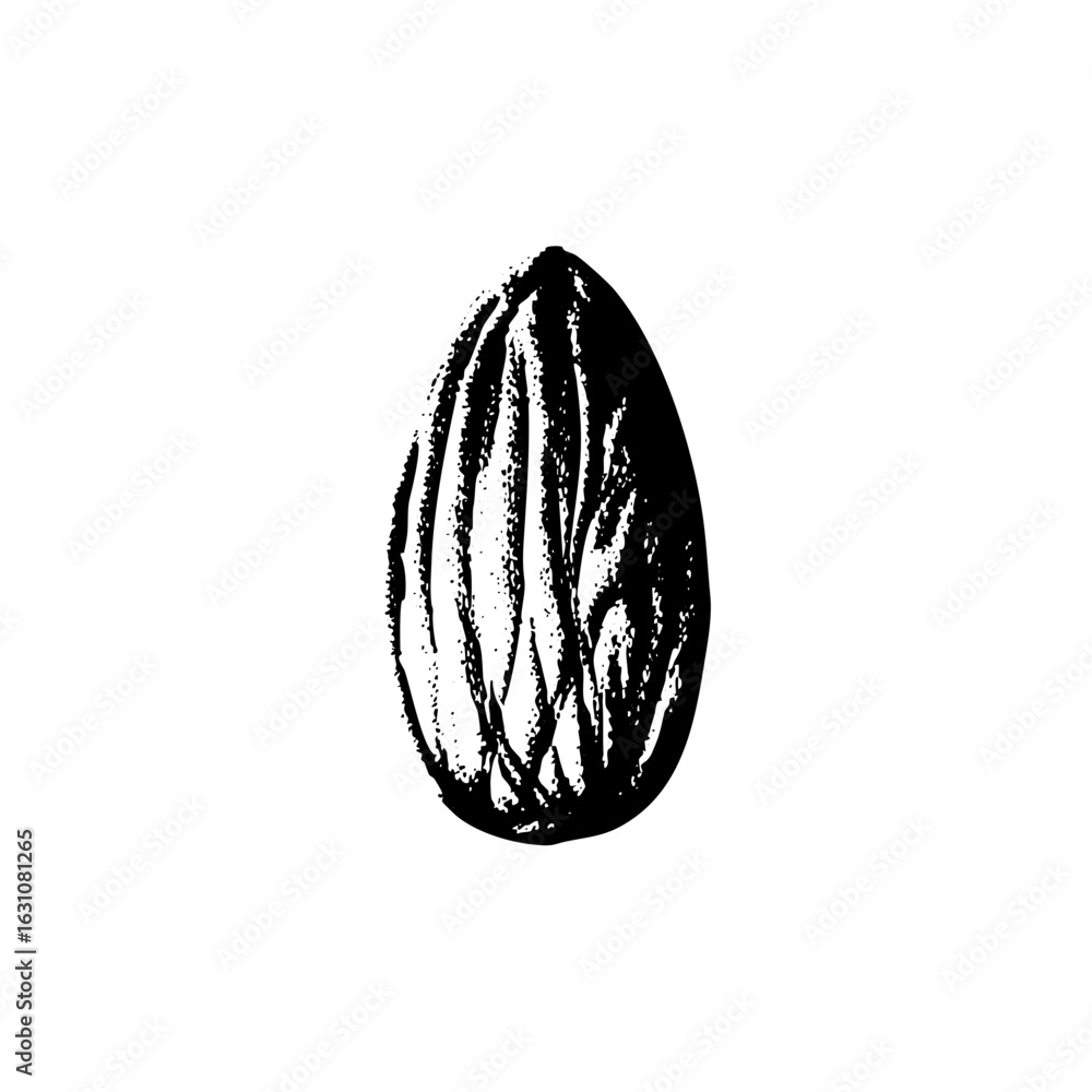 Poster vector detailed of a walnut with textured surface.